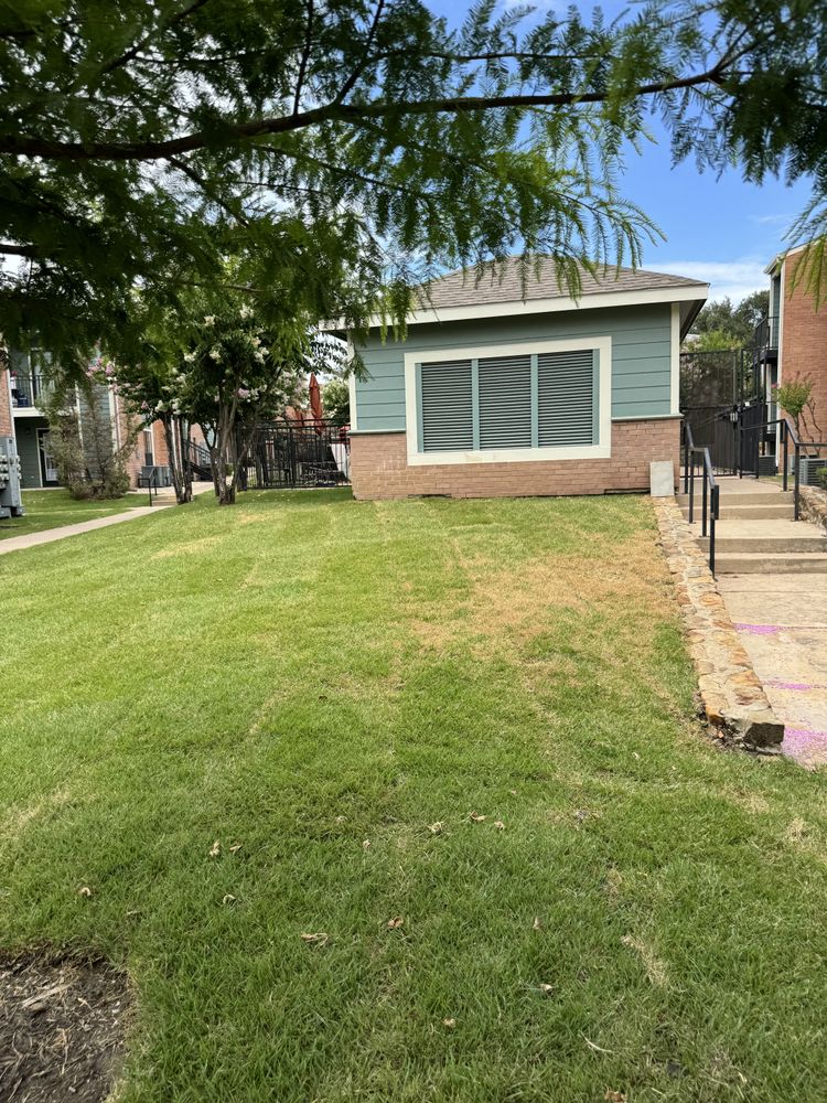 Seasonal color changes for Guerrero's Landscape in Fort Worth,  TX