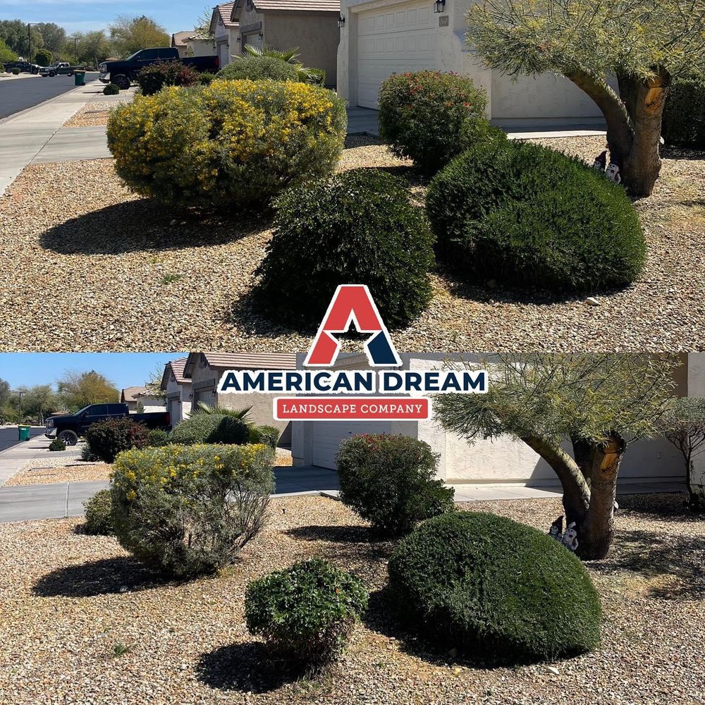 Commercial Lawn Maintenance for American Dream Landscape Company in Surprise, AZ