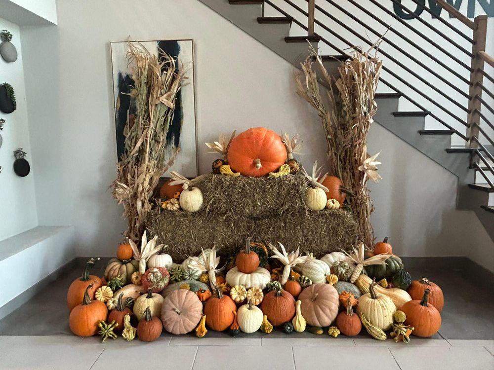 All Photos for Rj’s Enchanted Gardens and Fencing LLC in Irving, TX