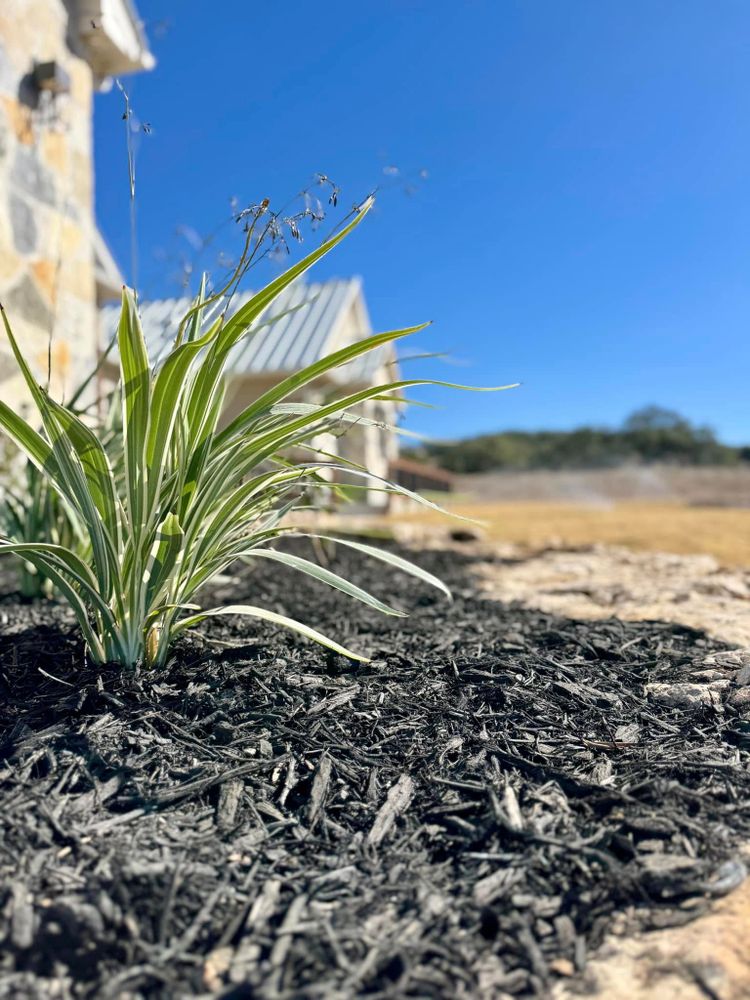 Irrigation System Design & Install for Bright Green Irrigation System in San Antonio, TX