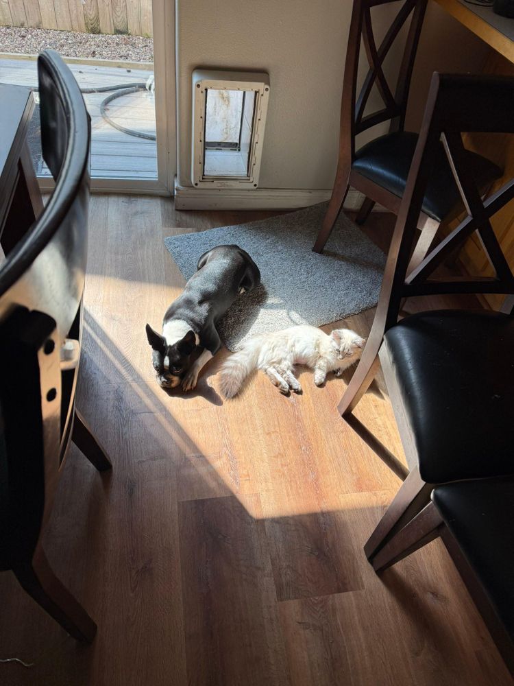 All Photos for V.I.P Plumbing in Sandpoint, ID