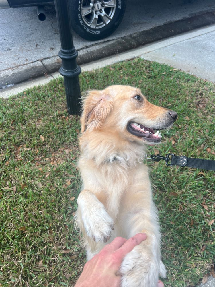 All Photos for C4 Ground Control in Oviedo, FL