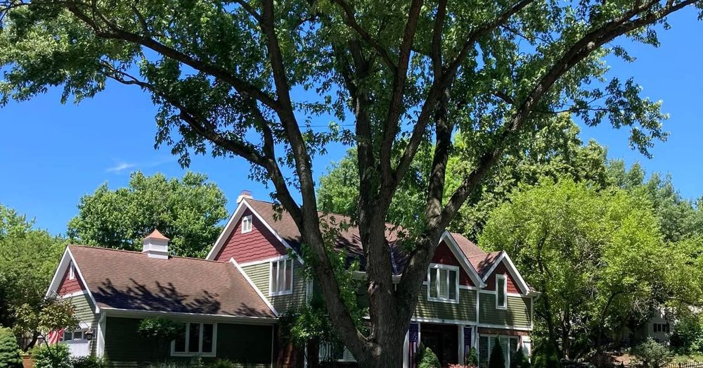 Home Softwash for J&J Power Washing and Gutter Cleaning in Sycamore, IL