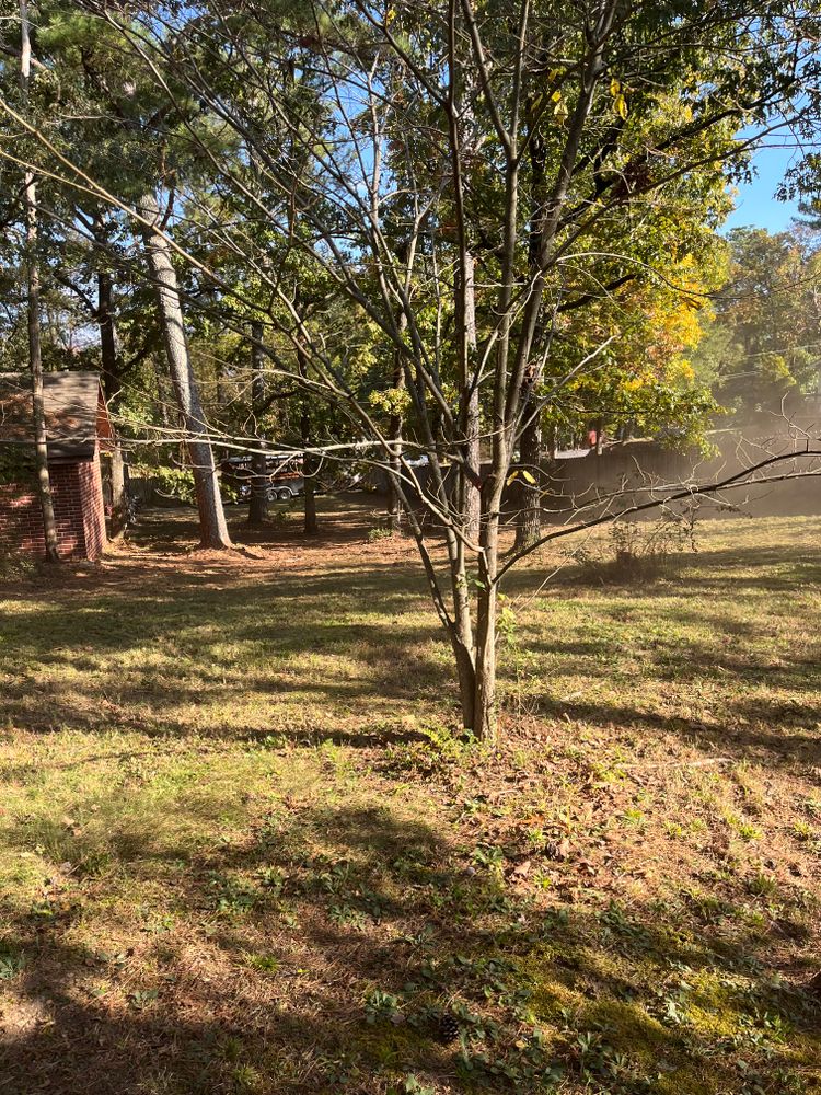 All Photos for J.P Landscaping and excavation in Chattanooga, TN