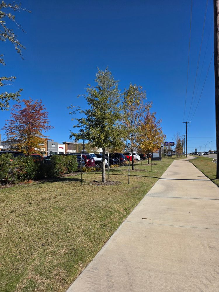 All Photos for RACSO RDZ LLC in McKinney, TX