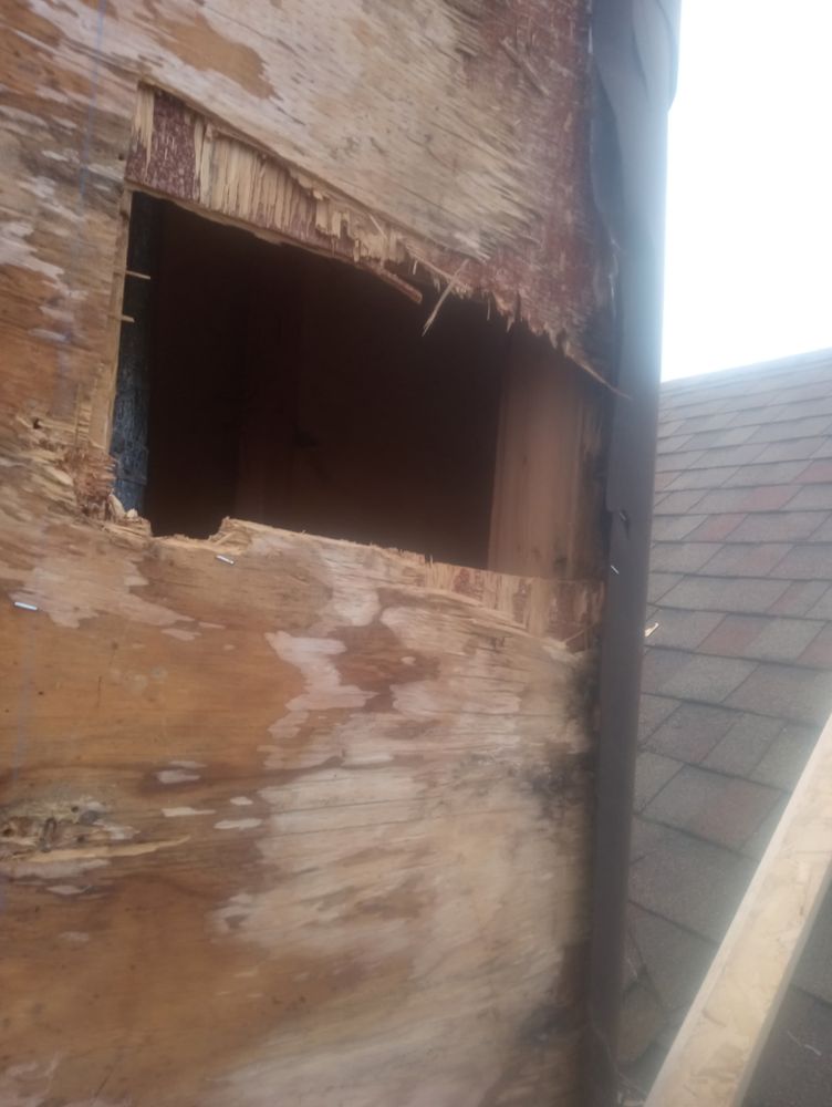 All Photos for Salt Side Construction in The Outer Banks, NC