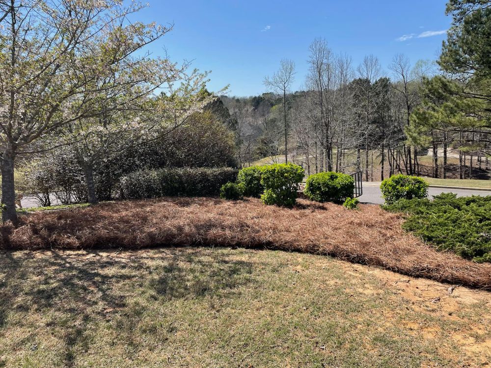 All Photos for All About Lawns in Trussville, AL