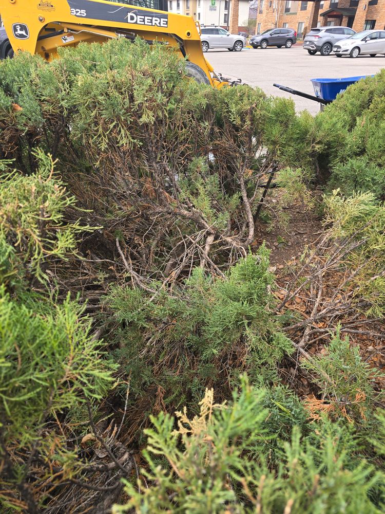 All Photos for LRS: Landscape, Rescue, Snow in Silt, CO