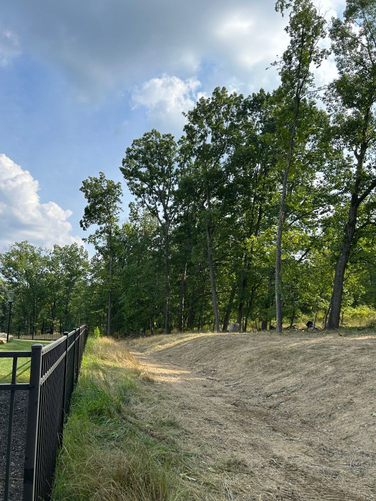 Tree Removal for JJ Tree Service in Gibsonia, PA