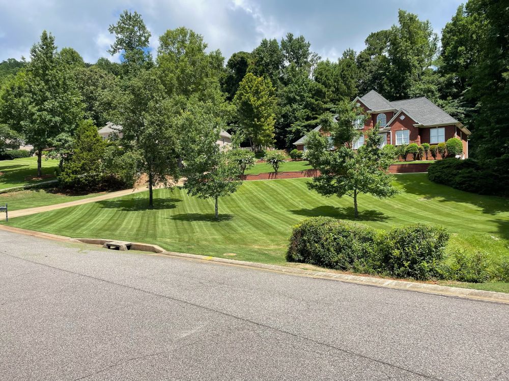 All Photos for All About Lawns in Trussville, AL