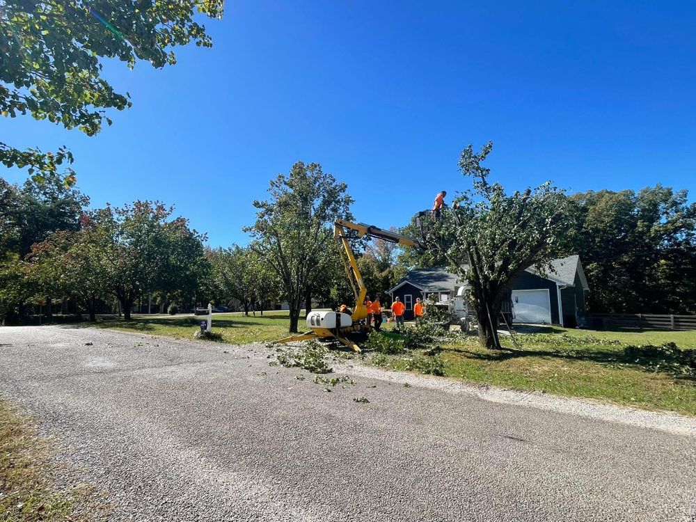 All Photos for Ross Family Tree Service LLC  in Hohenwald, TN