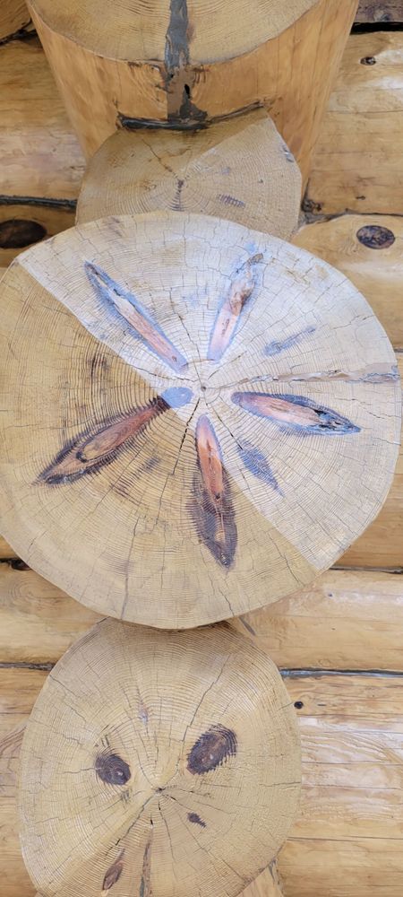 All Photos for 218 Painting & Log Restoration LLC in Britt, MN