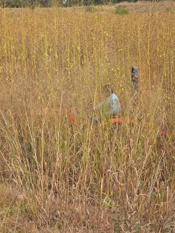 All Photos for Oviedo Land & Garden in Bastrop, TX