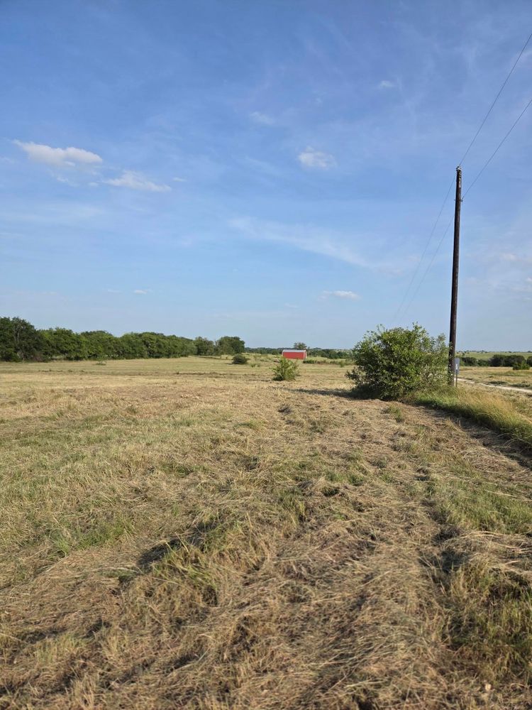 Our Grazing Services offer an eco-friendly solution to weed control by using livestock to manage vegetation naturally. This process enriches the soil and promotes a healthier lawn without chemical interference. for Philipp Property Solutions, LLC in Valley Mills, TX