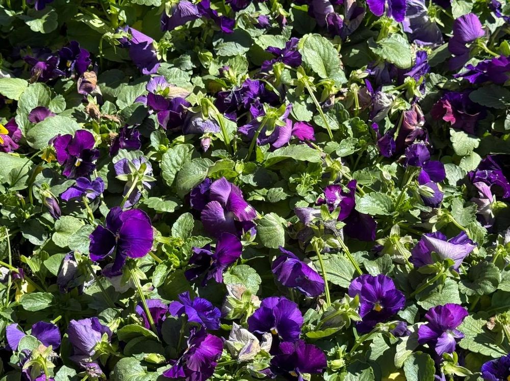 All Photos for Jeff Adkins Painting in Barboursville, WV