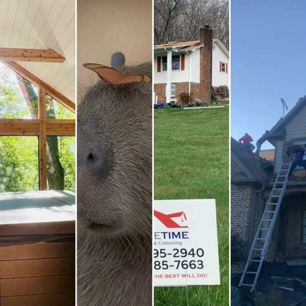 All Photos for Down Dog Yoga in Boston, MA