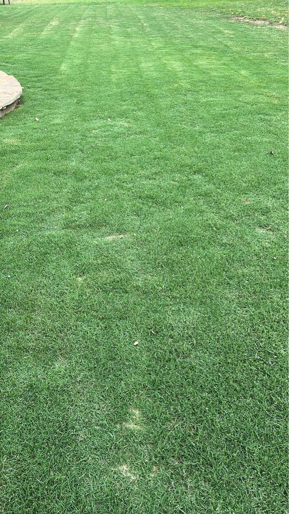 All Photos for C & C Lawn Care and Maintenance in New Braunfels, TX