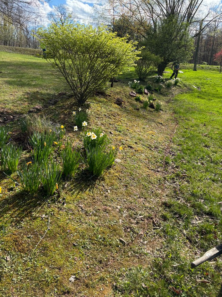 All Photos for Bryant Property Solutions in Altoona, PA