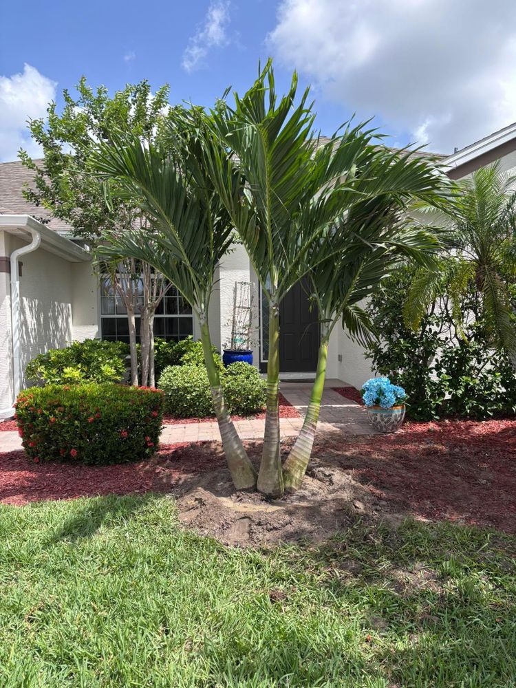 All Photos for Tolliver’s landscape LLC in Palm Bay, FL