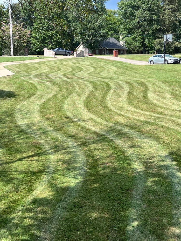 All Photos for Fescue 911 in Ashland City, TN