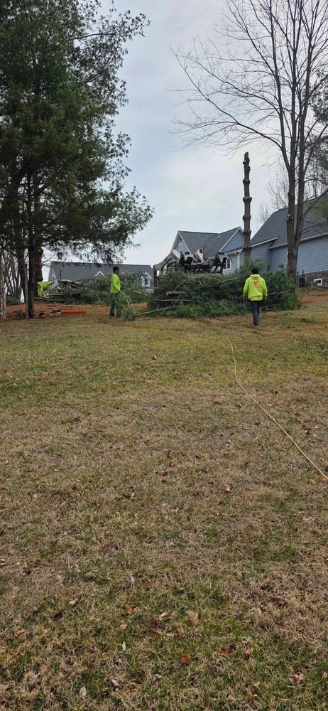 All Photos for Hamlett Tree Service LLC in Clover, VA