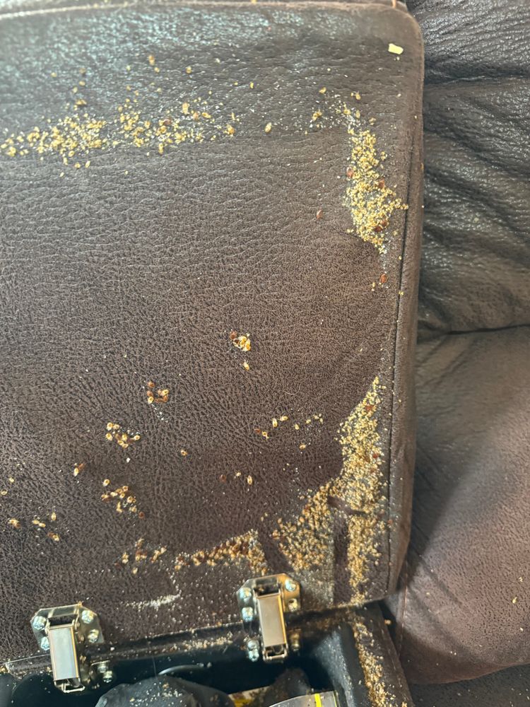 All Photos for All-In Pest Control & Home Solutions in Greene County, IN