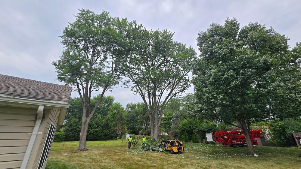 All Photos for F & F Tree Service in Beavercreek, OH