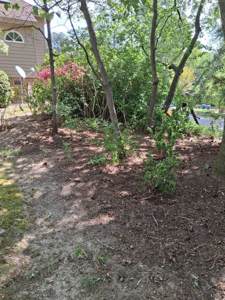 Tree Removal for Noel Velazquez Landscaping  in Williamsburg, VA
