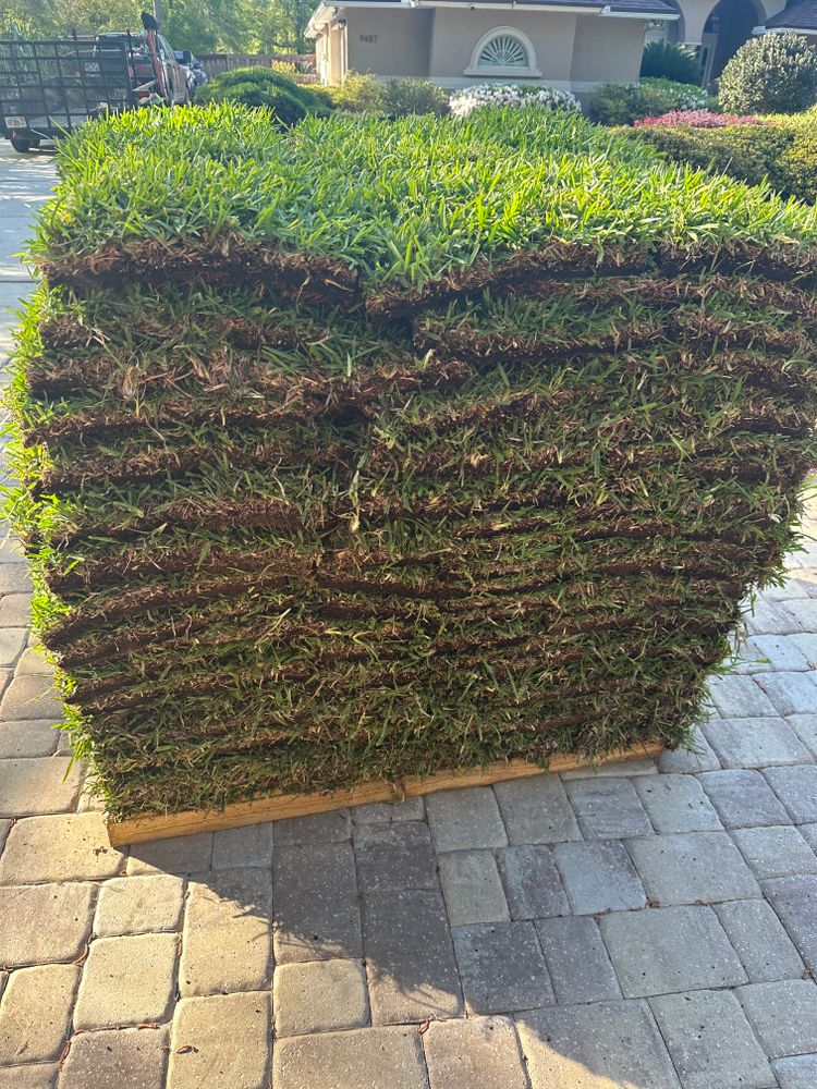 All Photos for All of the Above Landscaping in Orange Park, FL