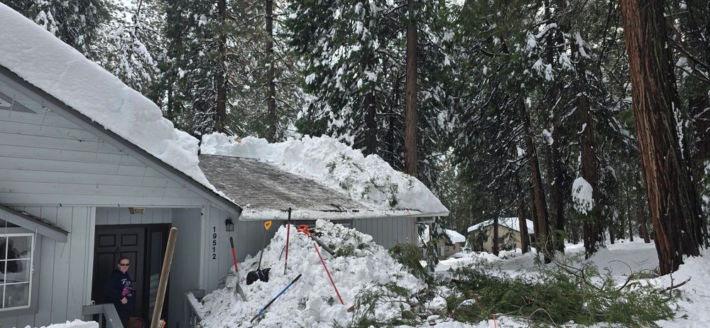 All Photos for George Staddan's Professional Tree Care in Placerville, CA