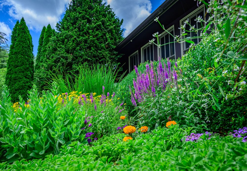 All Photos for Sustainable Lawn and Landscape in Banner Elk, NC