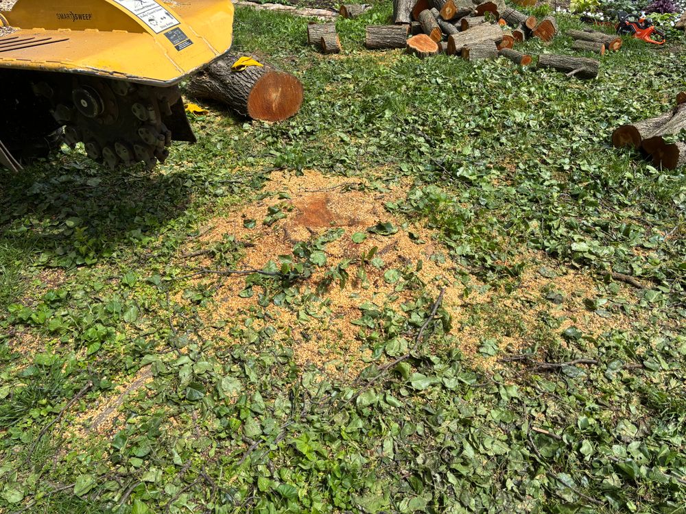 All Photos for Conrad's Stump Removal in Columbus, IN