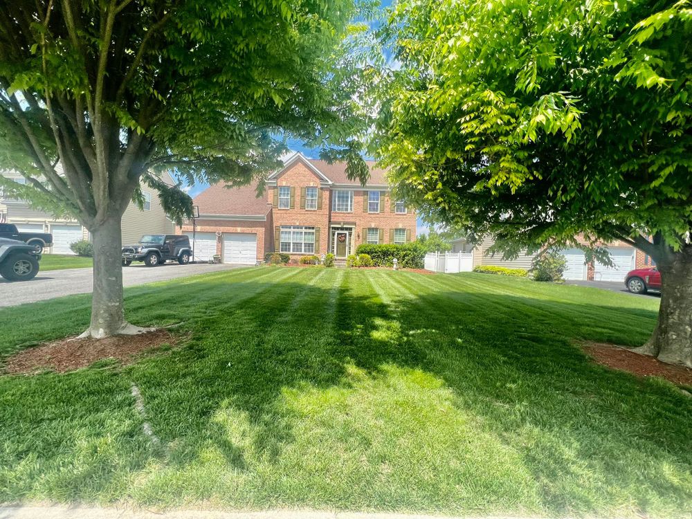 Lawn Care for Silburn Lawn & Landscape in Odenton, MD