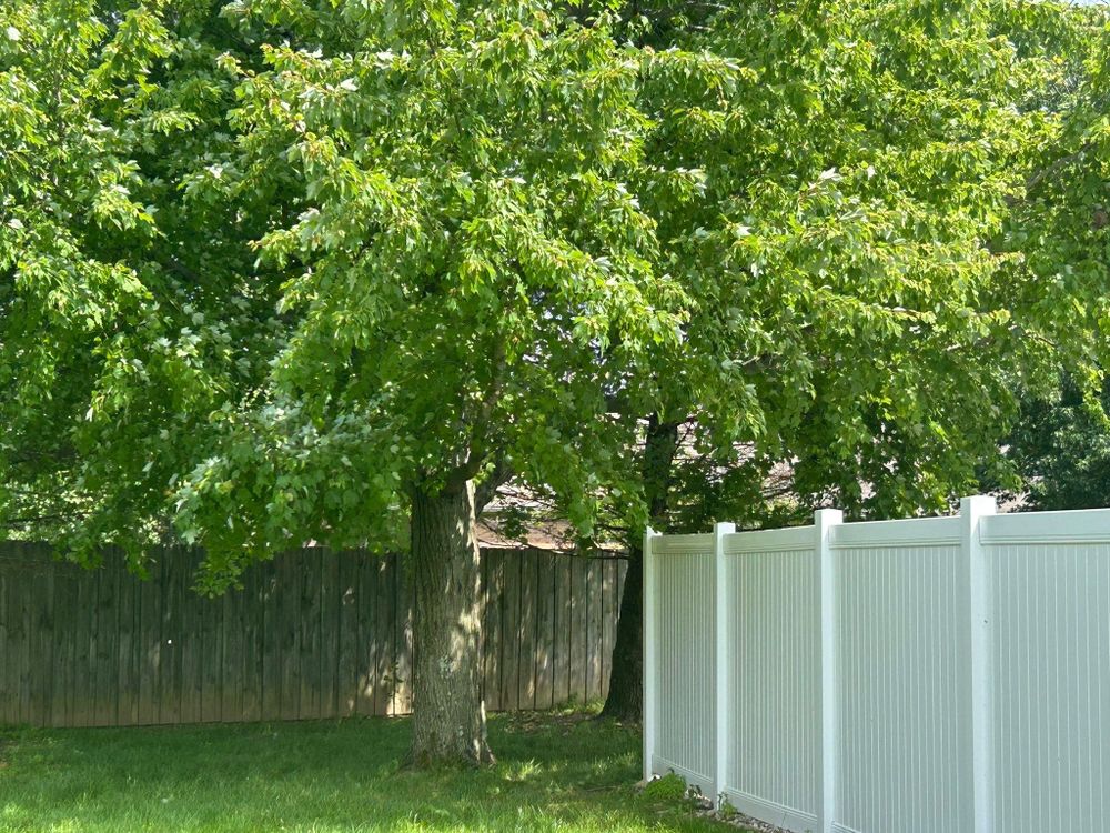 All Photos for Bearforce Lawn Care LLC in Greenfield, IN