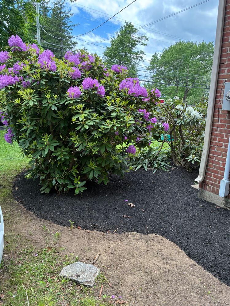 All Photos for JAD Excavating LLC in Goshen, CT