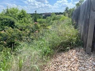 All Photos for Oviedo Land & Garden in Bastrop, TX
