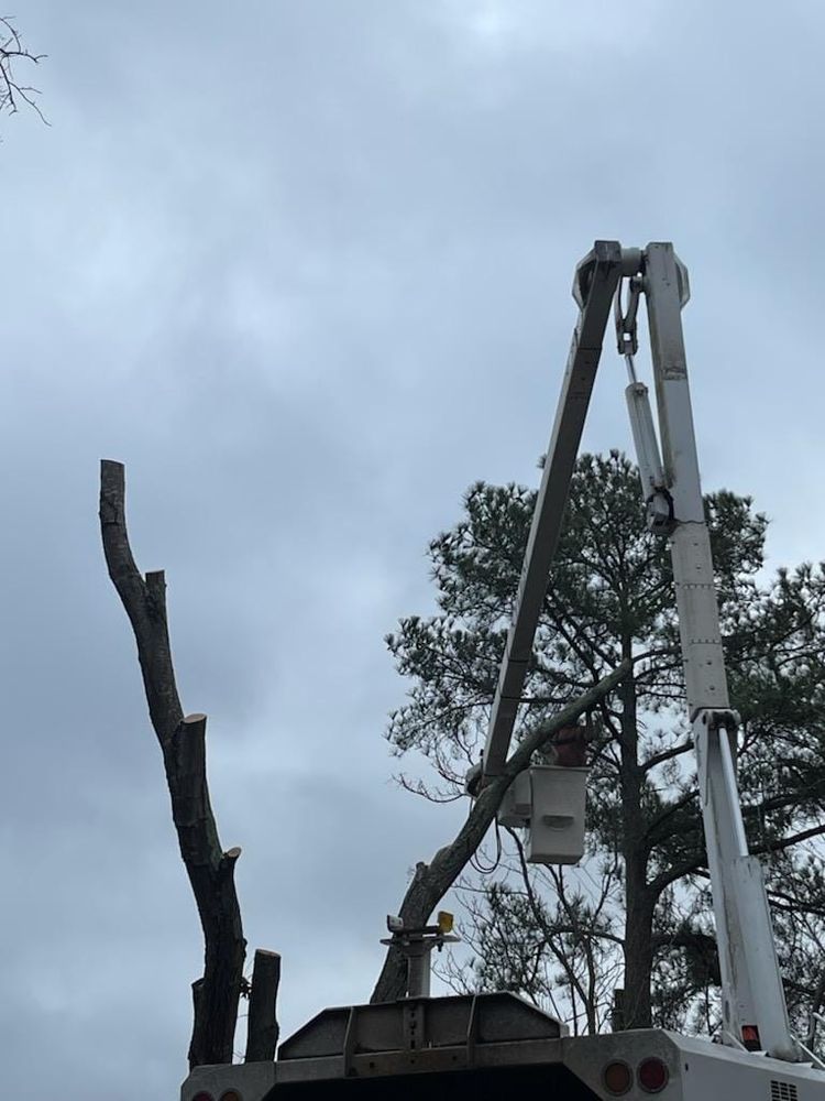 Our Tree Removal service safely and efficiently removes unwanted or hazardous trees, enhancing your property's safety and aesthetic appeal while ensuring minimal disruption to your surrounding landscape. for Barbers Outdoor Services in Grays Creek, NC