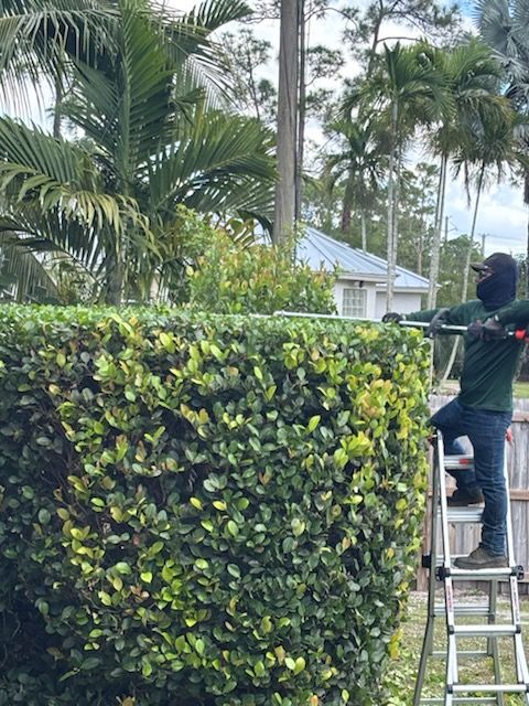 All Photos for Madissons Green in West Palm Beach ,   FL