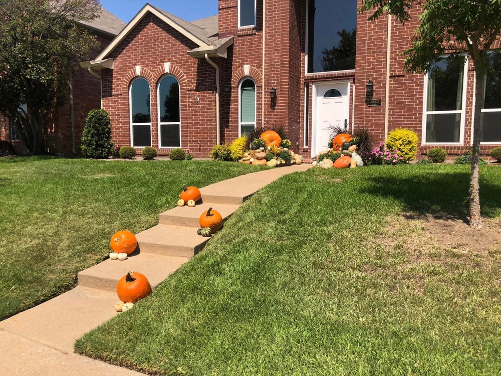 Pumpkin Displays for Rj’s Enchanted Gardens and Fencing LLC in Irving, TX