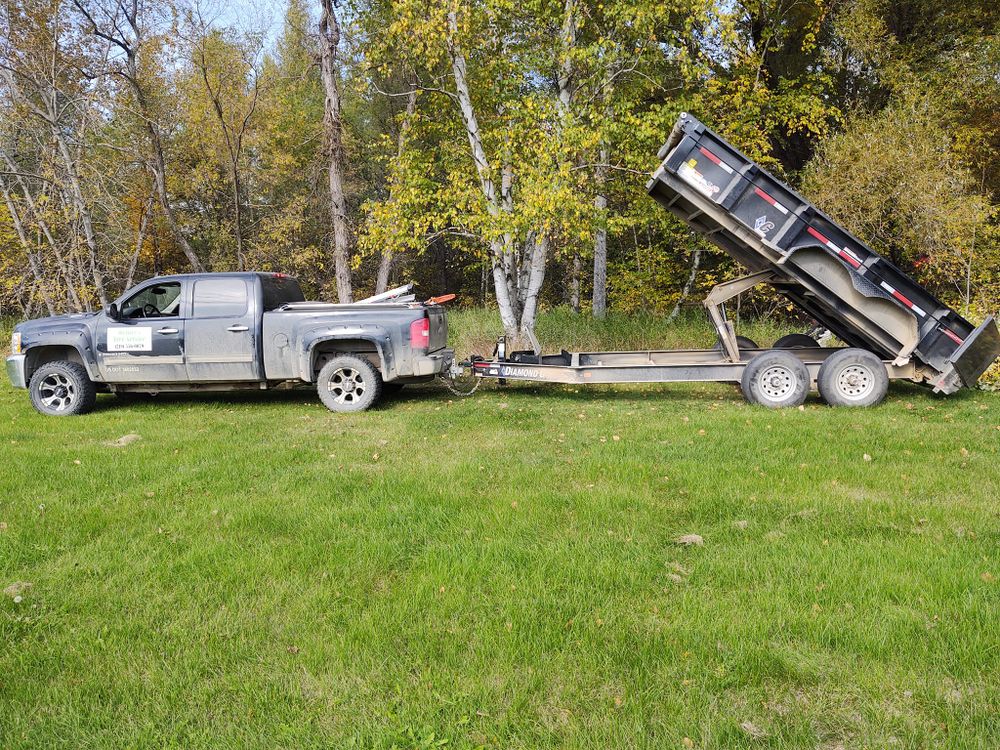Tree Removal for Wenzels Tree Service LLC  in Bemidji, MN