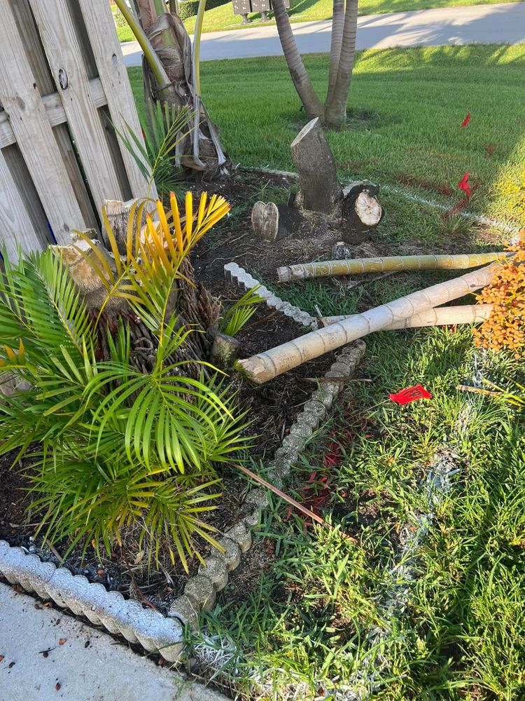 Landscaping for Rey Landscaping & Lawn service LLC in West Palm Beach,  FL