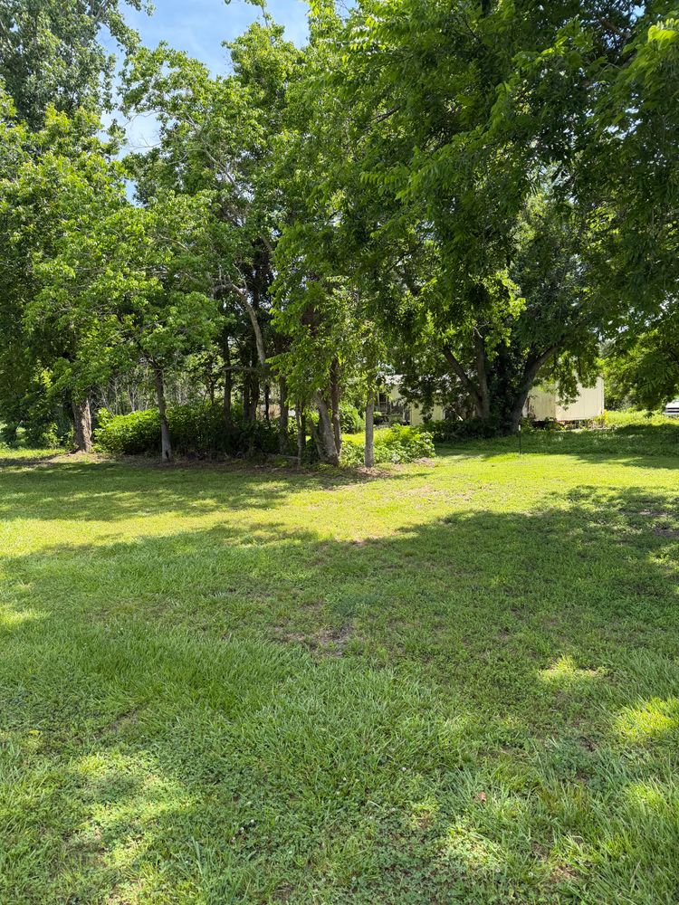All Photos for CKD's Mulching Services in League City, TX