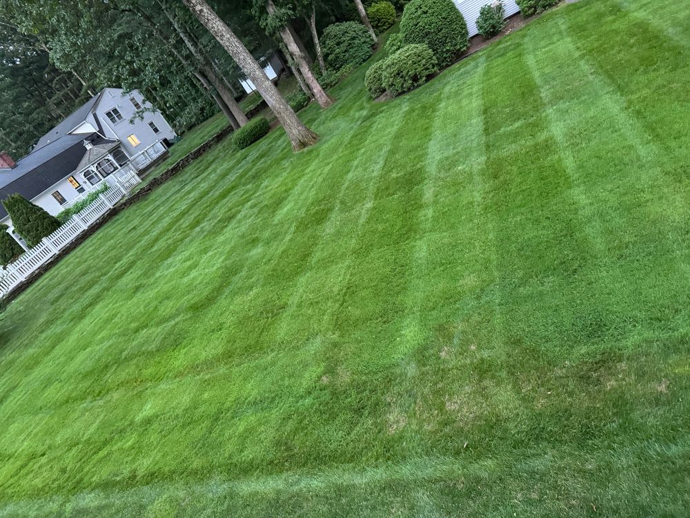 All Photos for Adams Landscaping in Springfield, MA