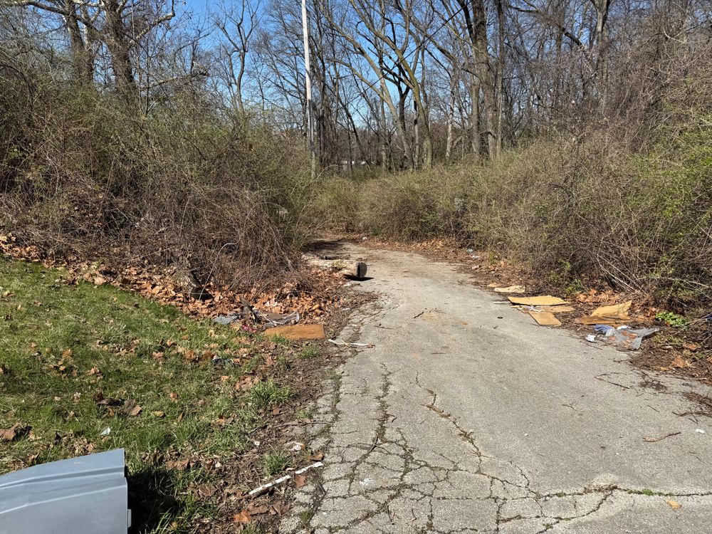 All Photos for A1 Bush Hogging & Lawn Service in London, OH