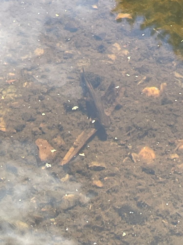 All Photos for Galactic Reiki in Mount Pocono, PA