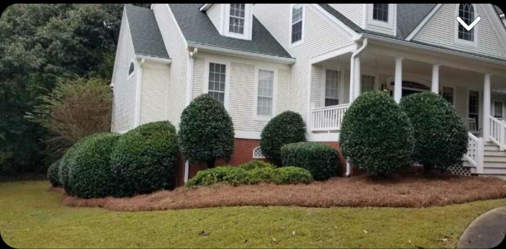 Enhance your home's curb appeal with our expert shrub trimming service, ensuring beautifully shaped bushes and healthy growth, all while maintaining the integrity of your landscape's design. for CK Lawn Maintenance in Peachtree City, GA