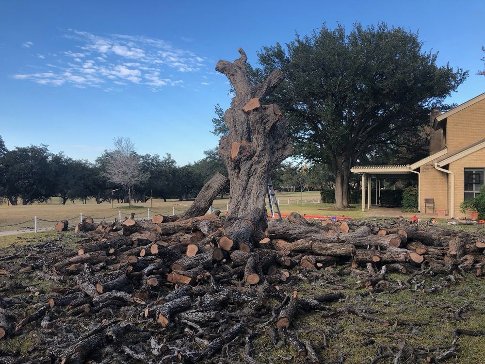 Tree Removal for Neighborhood Lawn Care and Tree Service  in San Antonio, TX