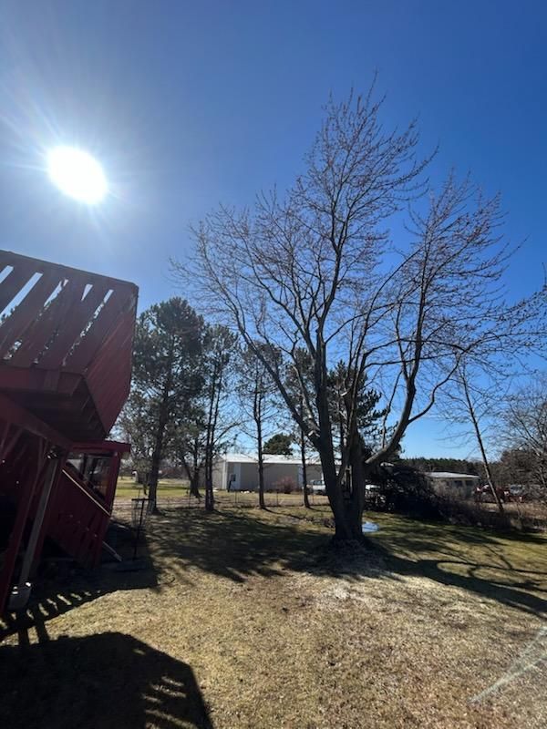 All Photos for S.H. Tree Service LLC in Hilton, NY