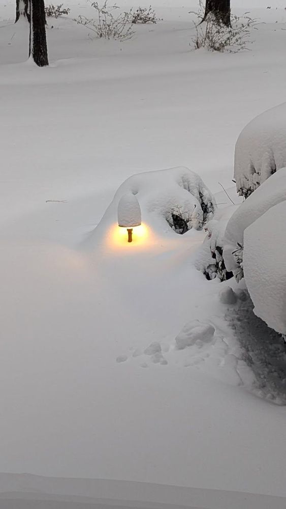 All Photos for Batchelor Construction in Wallace, NC