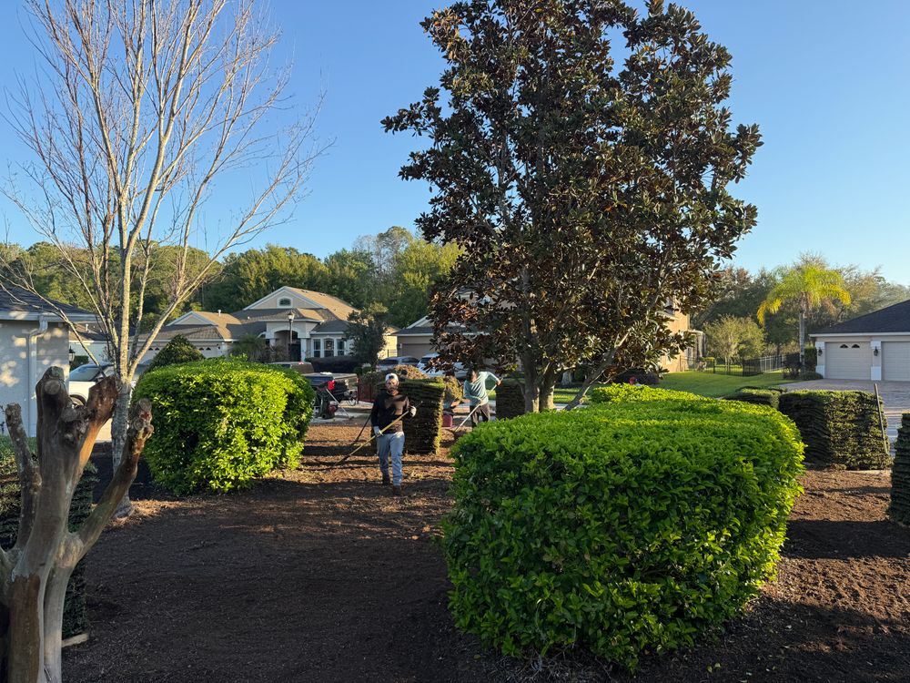 All Photos for Gulf Bay Sod in Clearwater, FL